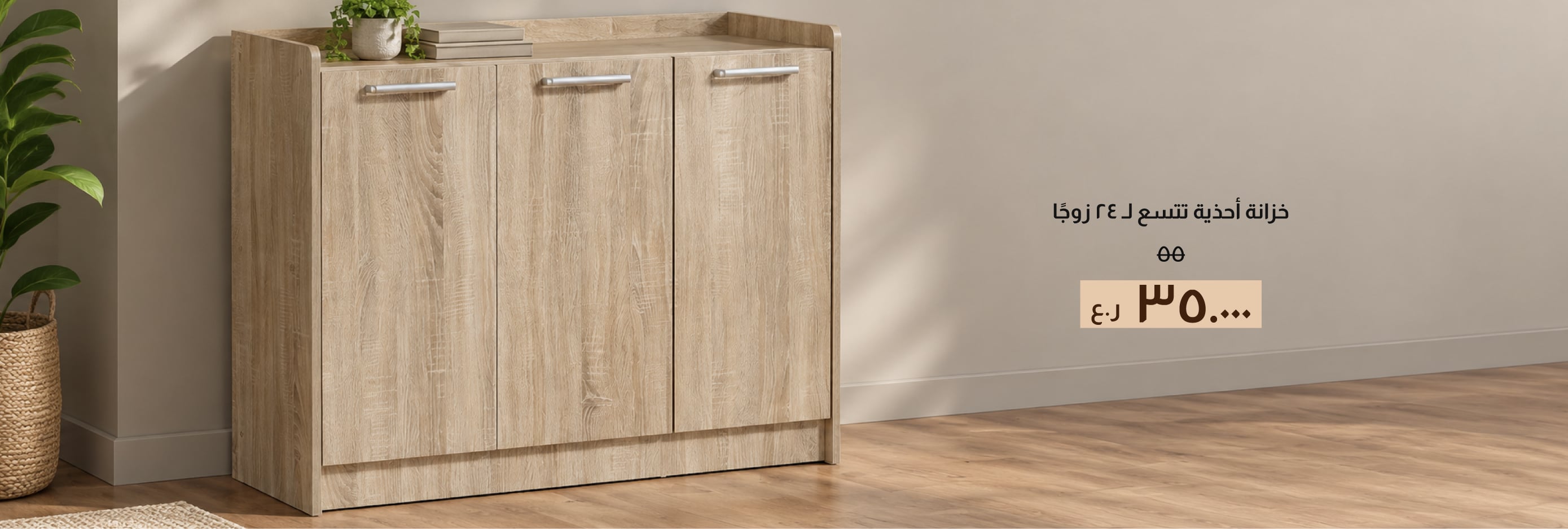 BAHO26-FA-CB-24-Pair Shoe Cabinet