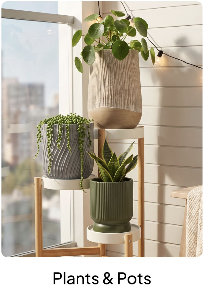 GRLPU26-GA-5B-Plants & Pots